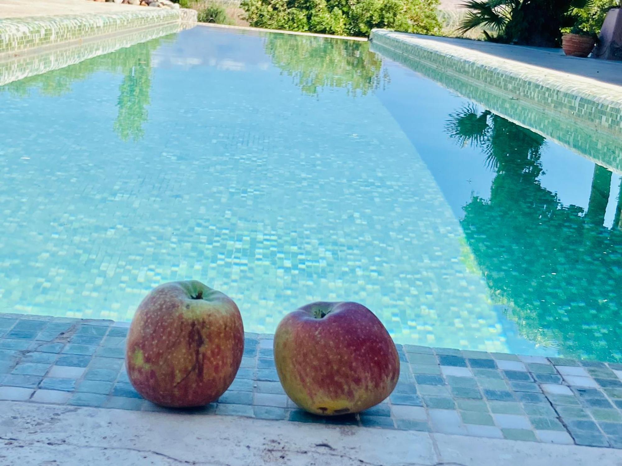 Finca Tierra Calma Casa 1 บาร์เรอัล ภายนอก รูปภาพ